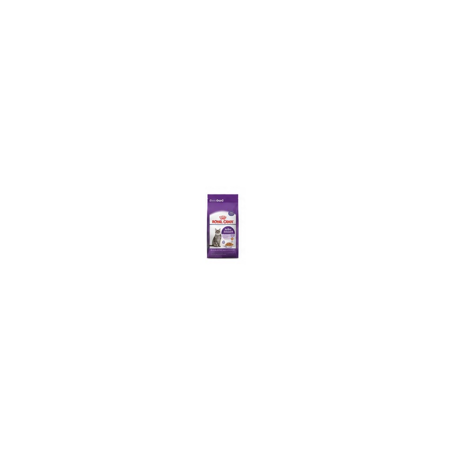 Premium Cat Food